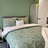 Photo 4: Room 5