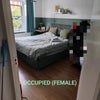 Photo 8: Flatmates room