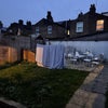 Photo 5: garden