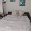 Photo 3: Bed open