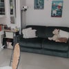 Photo 2: Bed closed