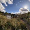 Photo 9: Garden
