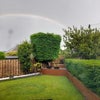 Photo 3: Garden