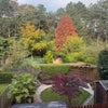 Photo 9: Garden to rear