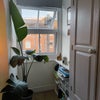 Photo 4: bed 4