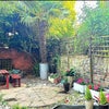 Photo 4: Well maintained garden