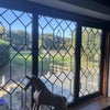 Photo 8: view from bedroom window