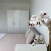 Photo 3: Bedroom