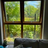 Photo 3: View from living room  window