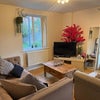 Photo 3: Living room 