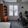 Photo 5: Room