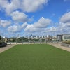 Photo 6: rooftop garden