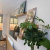 Photo 8: Living Room