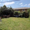Photo 7: Garden