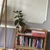 Photo 4: Book Exchange