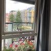 Photo 4: room view