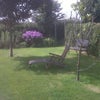 Photo 3: garden