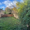 Photo 8: Garden 