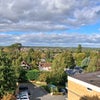 Photo 8: Part of the view