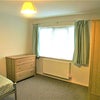 Photo 5: Bright and clean bedroom