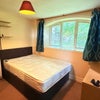 Photo 8: bedroom 3