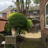 Photo 4: Garden