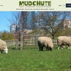 Photo 11: Mudchute Park & Farm - 3min Walk from Room Location