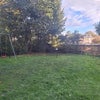 Photo 9: Garden