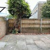 Photo 2: Garden/ outdoor space 