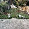 Photo 5: Garden