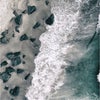 Photograph of Ramy
