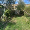 Photo 6: Garden