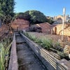 Photo 9: Garden