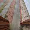 Photo 2: Parking space