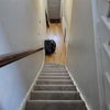 Photo 5: Hallway