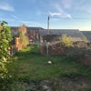 Photo 5: Large sunny garden