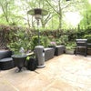 Photo 14: Garden