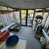 Photo 7: Conservatory 