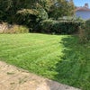 Photo 3: Shared Garden area