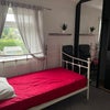 Photo 8: Room to rent