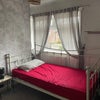 Photo 7: Room to rent