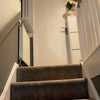 Photo 6: Stairs to first floor