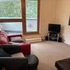 Photo 6: Living Room