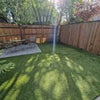 Photo 5: Garden