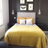 Photo 2: Room 1 @ £895 available now