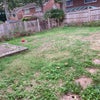 Photo 9: Garden 