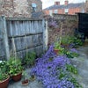 Photo 7: Outdoors Patio