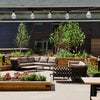 Photo 7: Social outside area