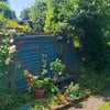 Photo 9: Garden