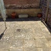 Photo 5: garden